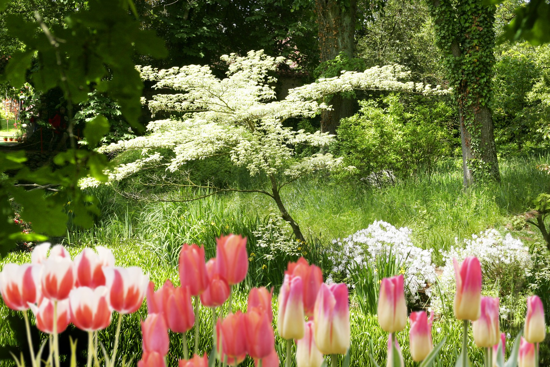Natur und Detail