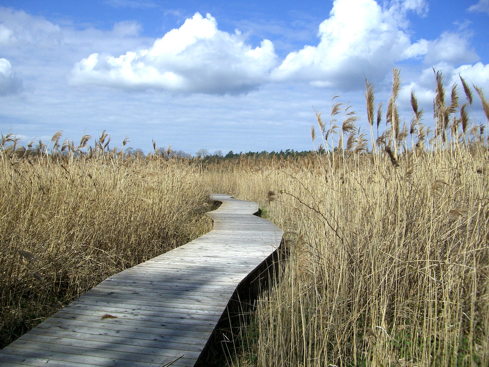 Landschaft als freies Motiv